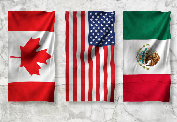 Mỹ tạm dừng áp thuế cho Canada và Mexico