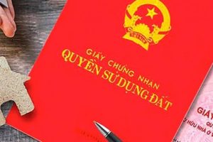 Mau Tai lieu thuong can dich thuat anh viet
